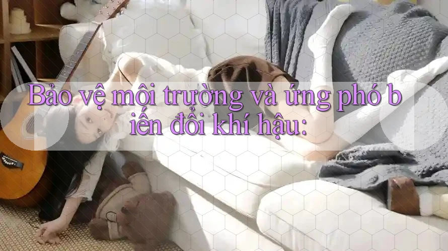 Bảo vệ môi trường và ứng phó biến đổi khí hậu: