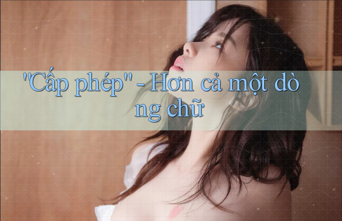 “Cấp phép” - Hơn cả một dòng chữ