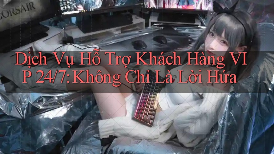 Dịch Vụ Hỗ Trợ Khách Hàng VIP 24/7: Không Chỉ Là Lời Hứa