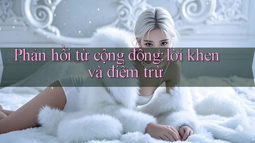 Phản hồi từ cộng đồng: lời khen và điểm trừ