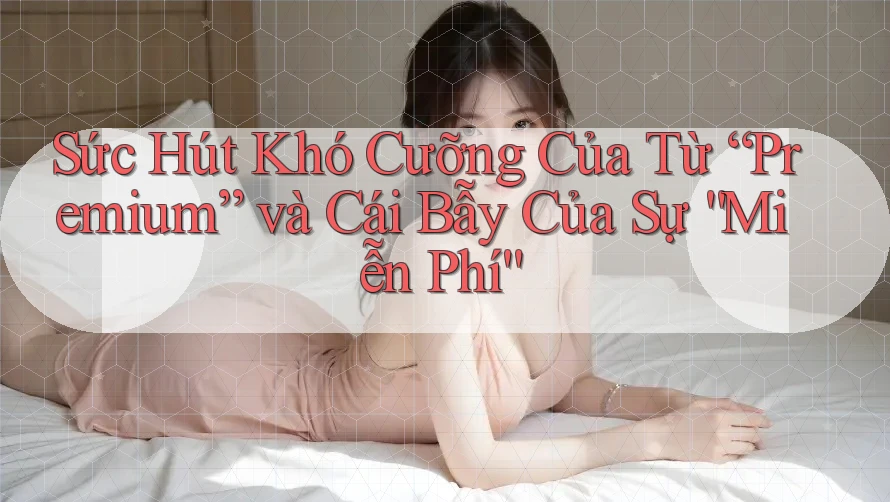 Sức Hút Khó Cưỡng Của Từ “Premium” và Cái Bẫy Của Sự “Miễn Phí”