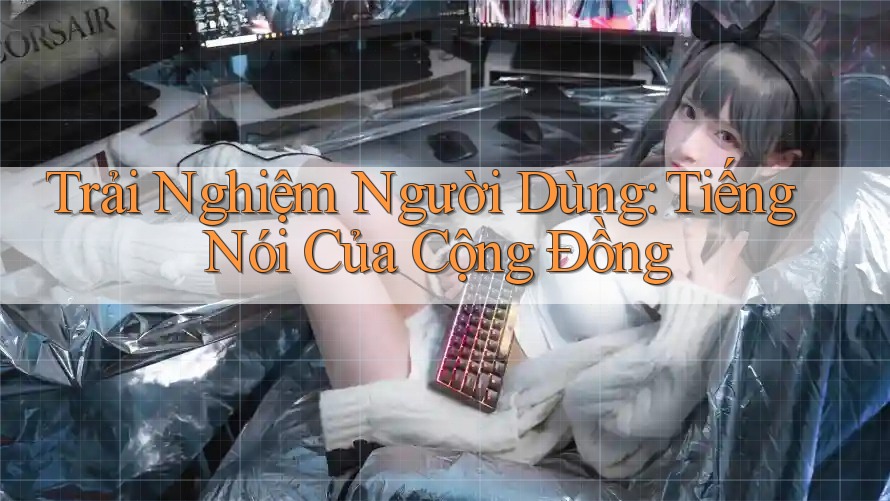 Trải Nghiệm Người Dùng: Tiếng Nói Của Cộng Đồng